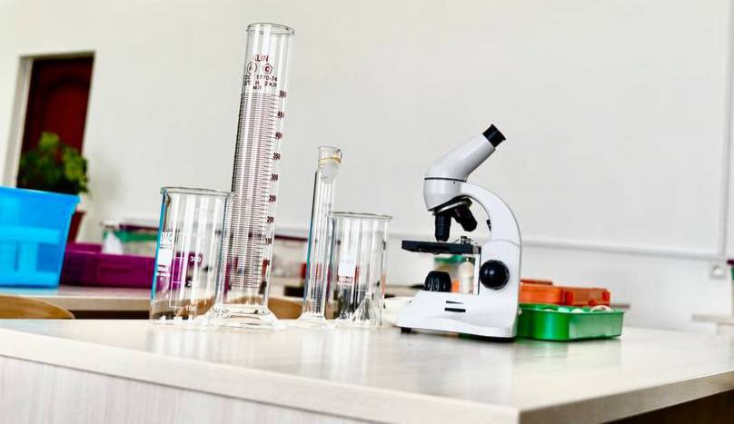 Продолжается модернизация школьной системы образования