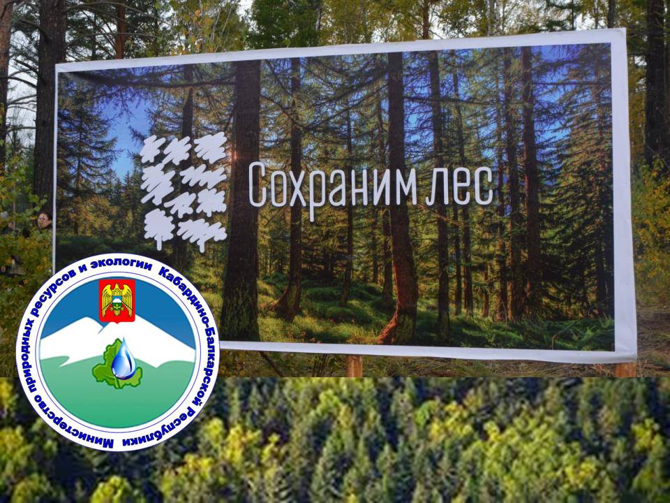 Кабардино-Балкария присоединится к Всероссийской акции  «Сохраним лес»