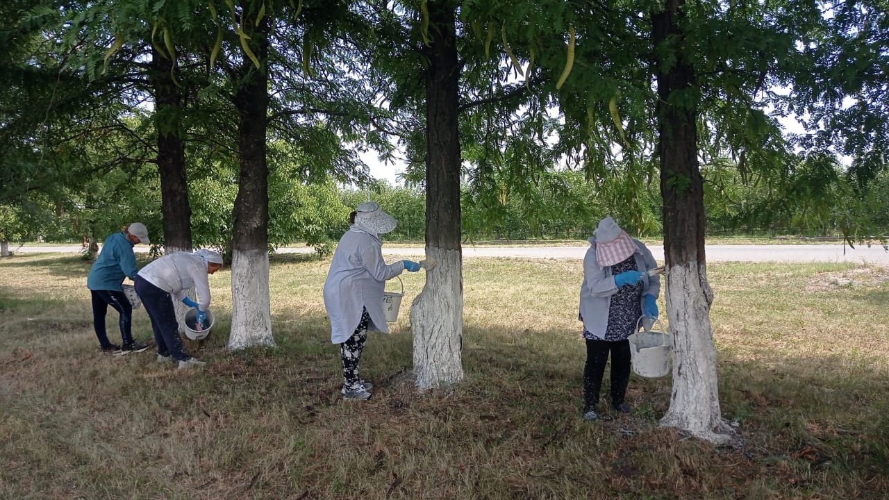 В Баксанском районе проходит экологическая неделя