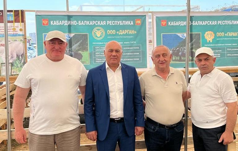 Шесть медалей разного достоинства привезли овцеводческие хозяйства Кабардино-Балкарии с Российской выставки племенных овец и коз
