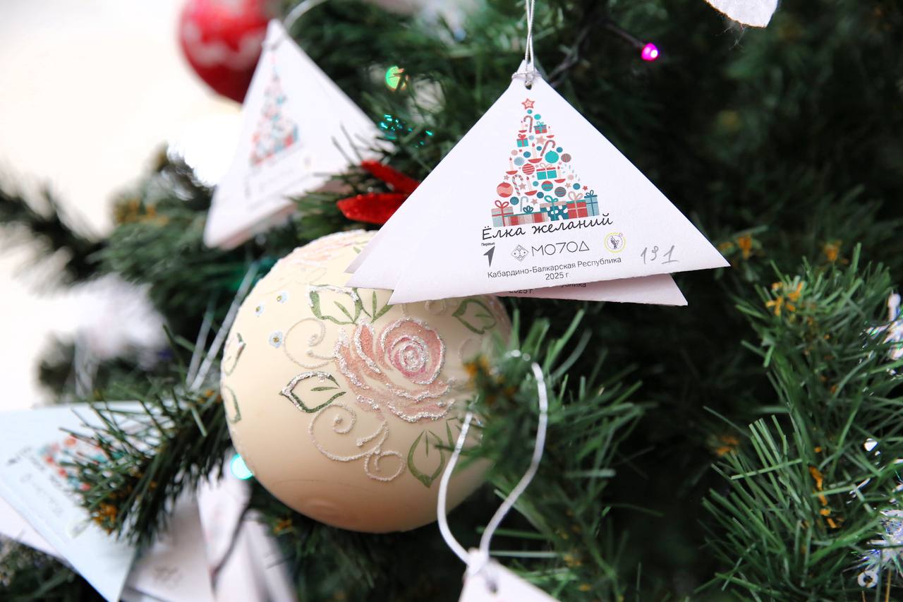 Дан старт Всероссийской акции «Ёлка желаний» в КБР