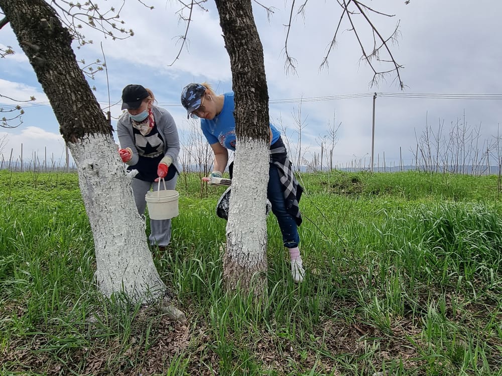 В Баксане провели субботник 