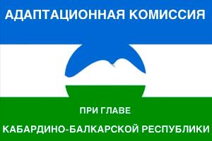 Адаптационная комиссия 