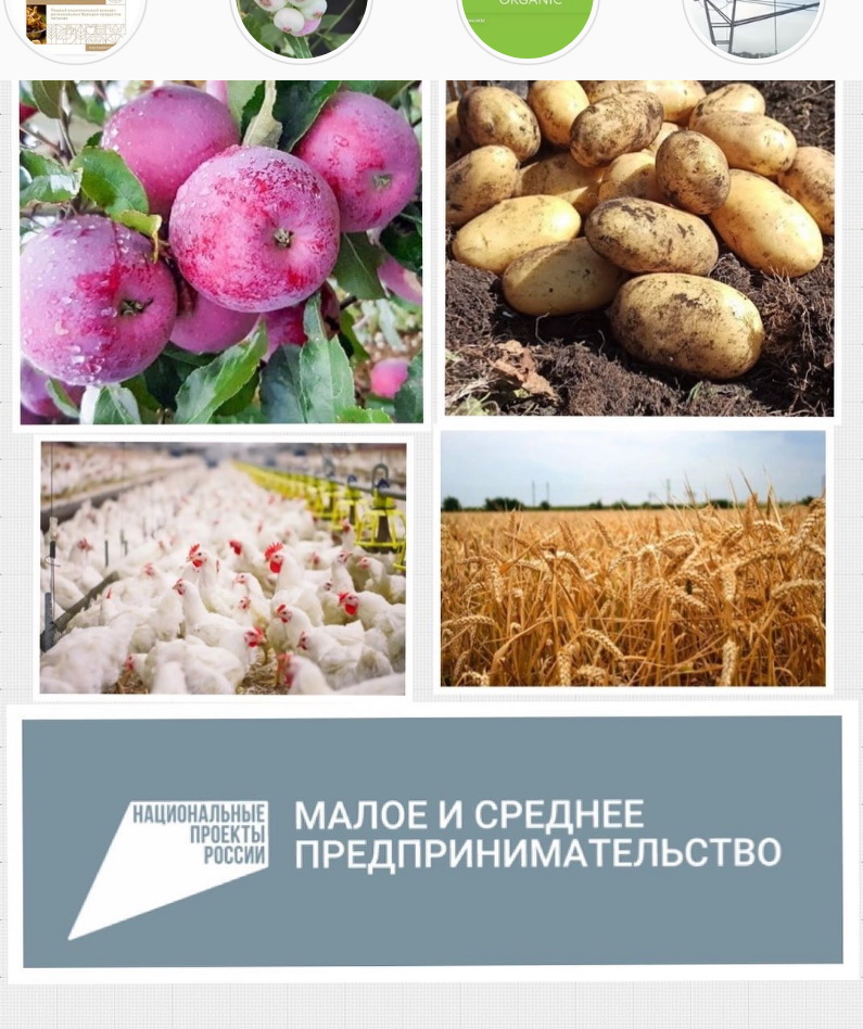 В КБР произведено продукции сельского хозяйства на сумму около 40 млрд рублей