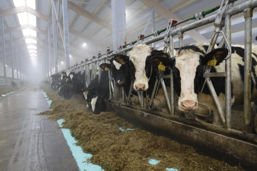 В Кабардино-Балкарии поддержат крестьянско - фермерские хозяйства