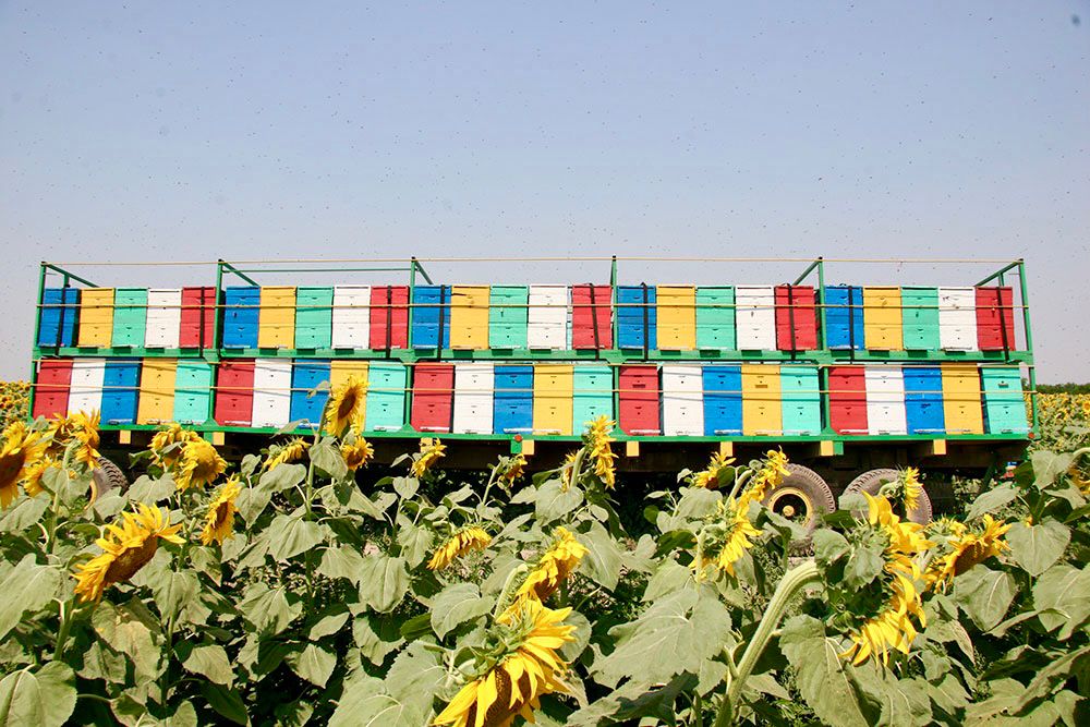 Высокоскоростной мобильный интернет появился в Черной Речке