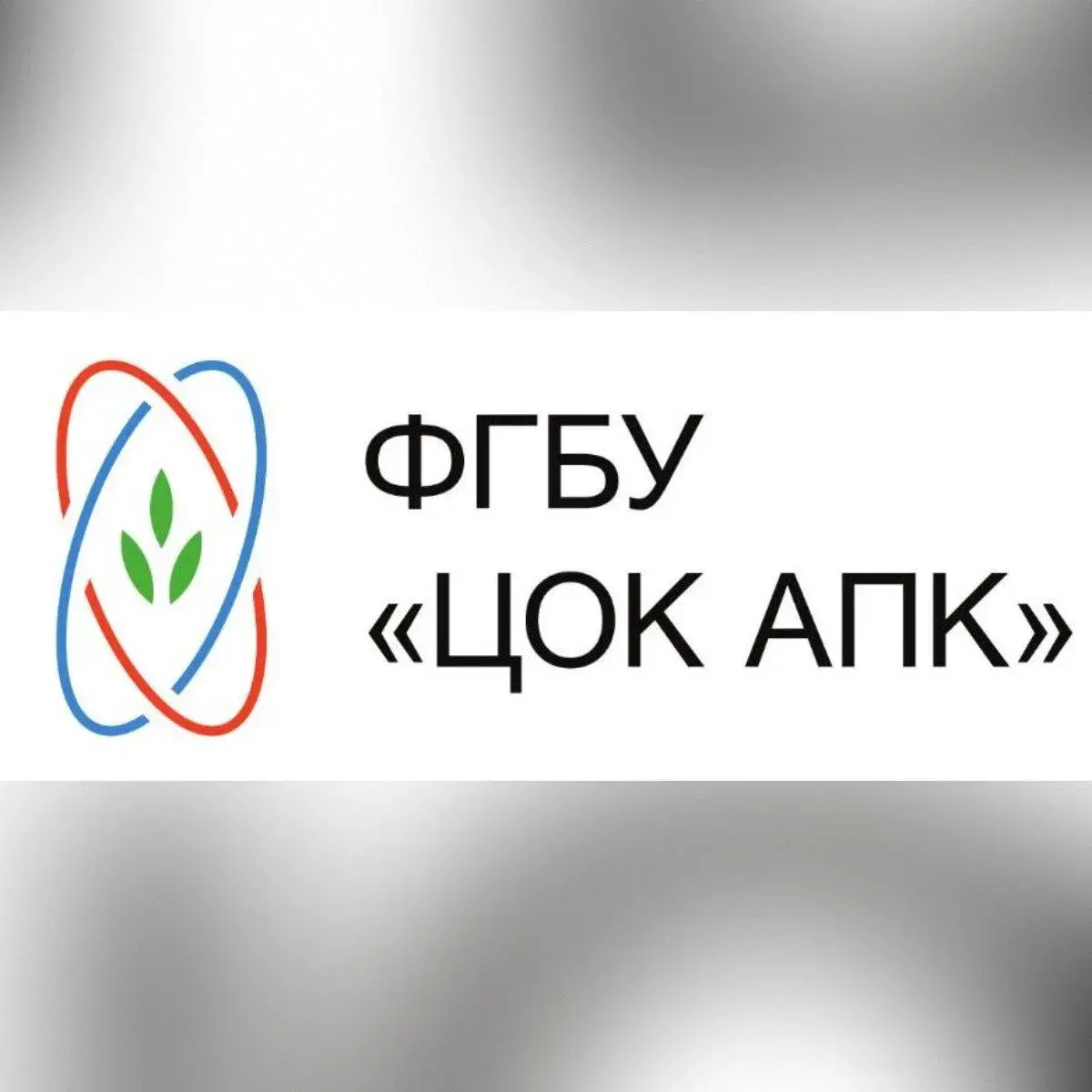 Эксперты проверили 983 тонны экспортной моркови