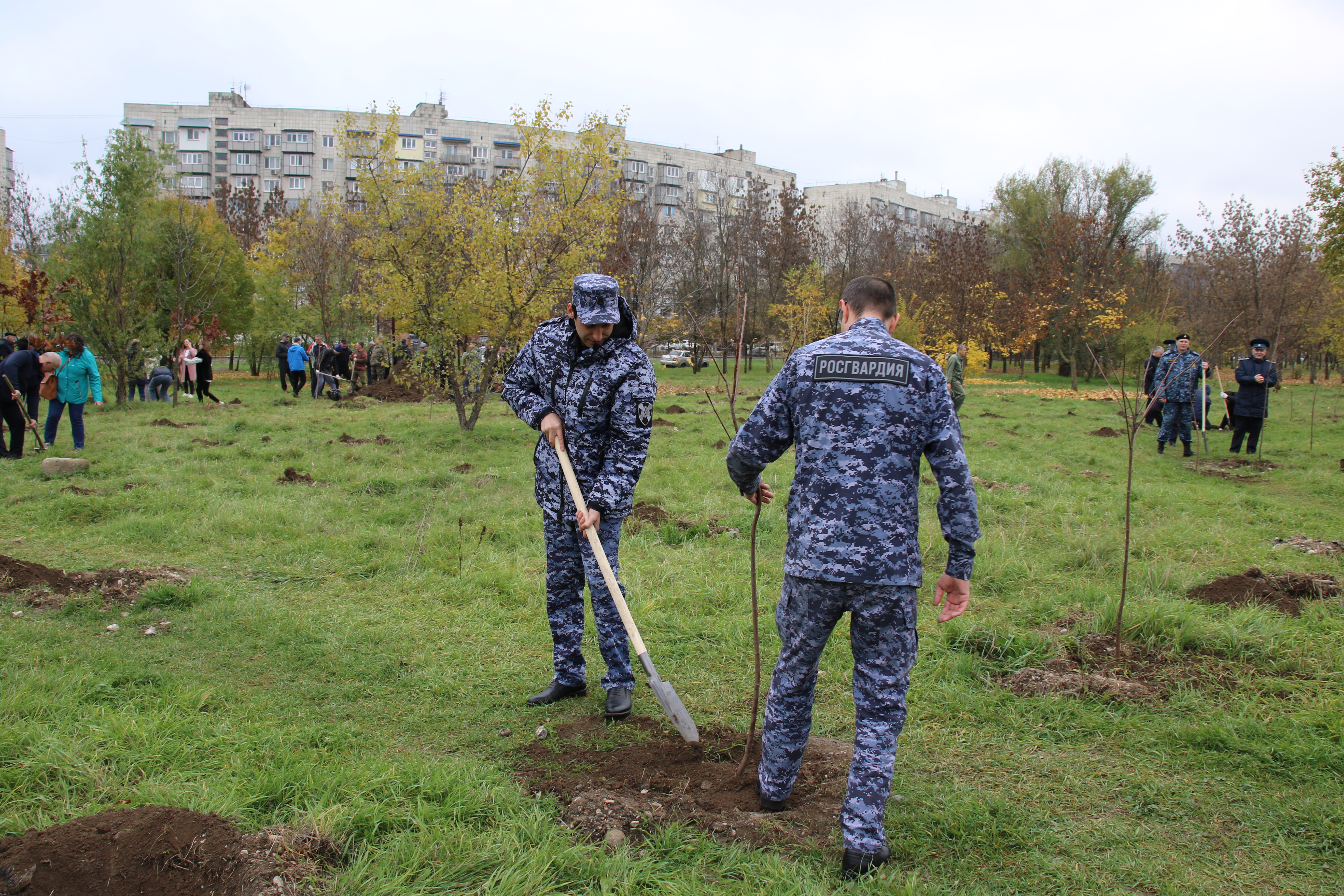 Росгвардейцы высадили более 2 тысяч деревьев в Парке Победы