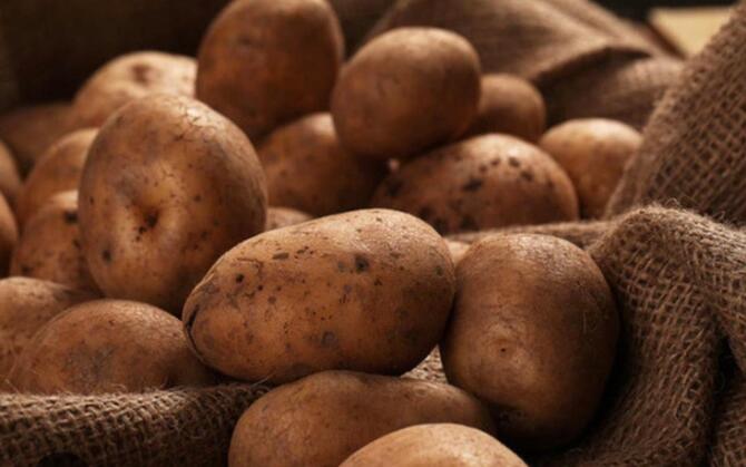 Кабардино-Балкария получит субсидии на производство картофеля и овощей