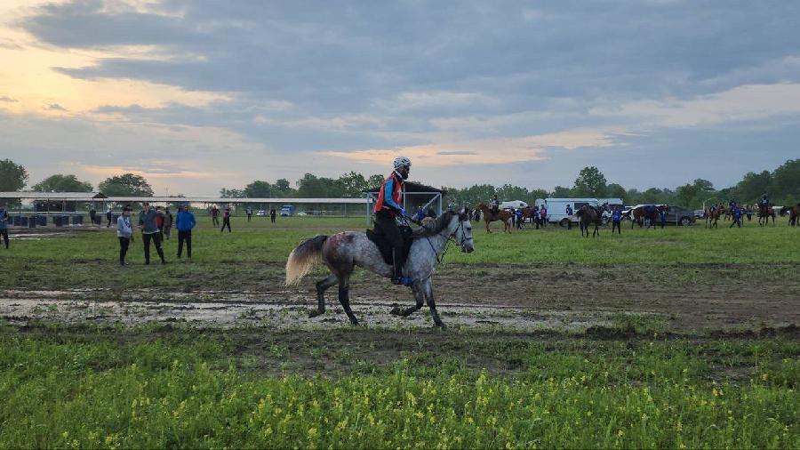 Глава КБР Казбек Коков приветствовал участников Кубка России по дистанционным конным пробегам
