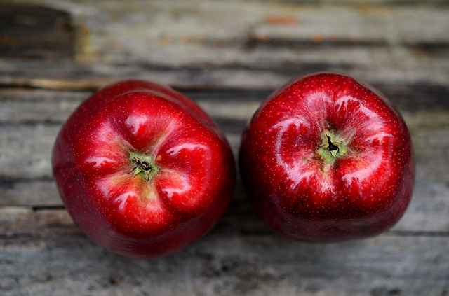 Цель – выращивать каждое пятое российское яблоко в КБР