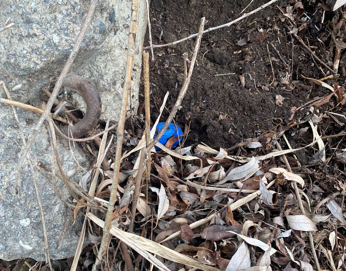 В Прохладном полицейские изъяли более 100 граммов героина