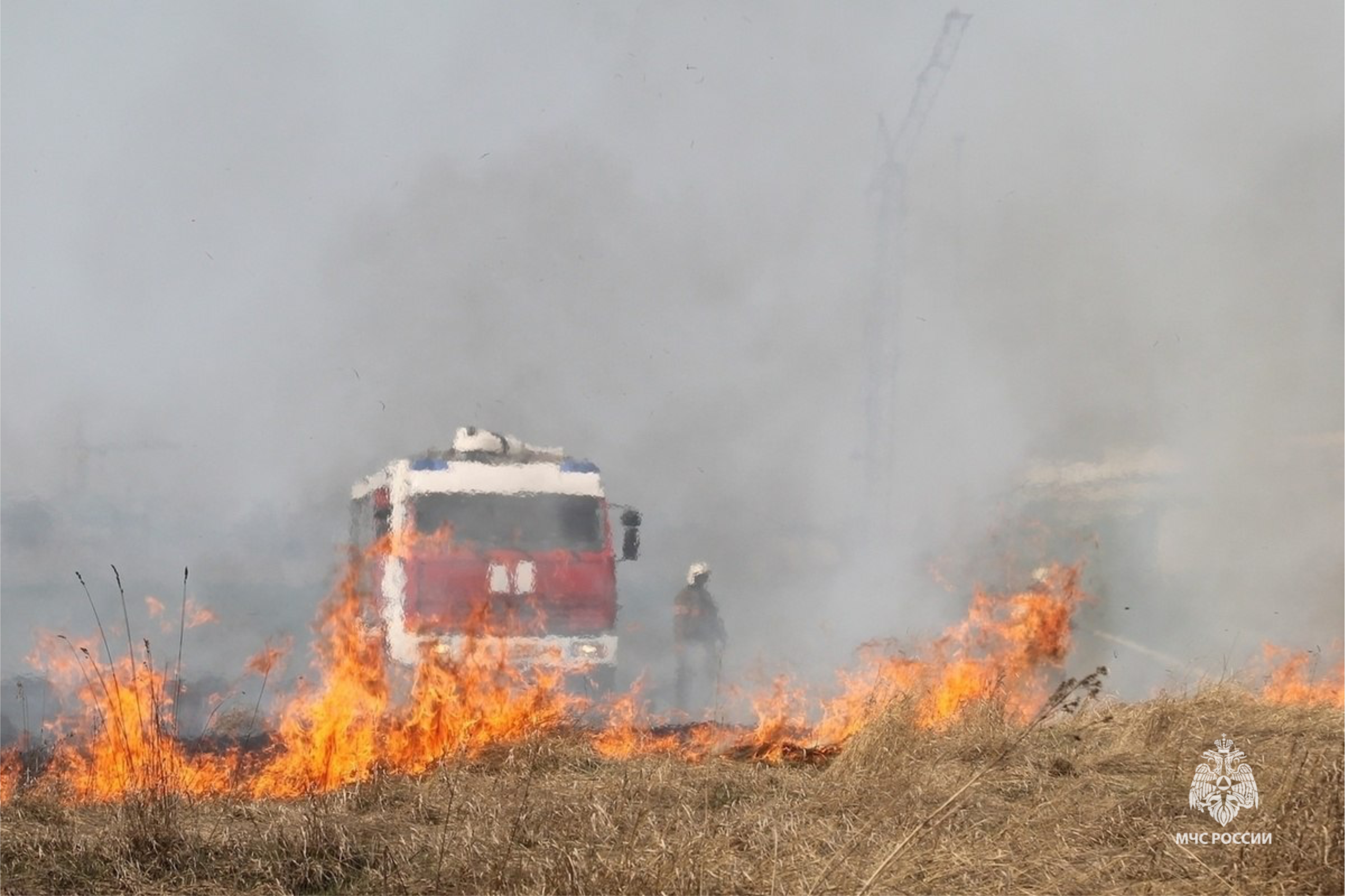 В регионе за сутки выгорели десятки тысяч квадратных метров травы  