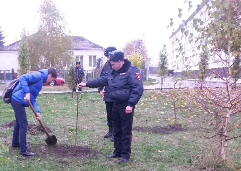 «Лес Победы» в Чегеме