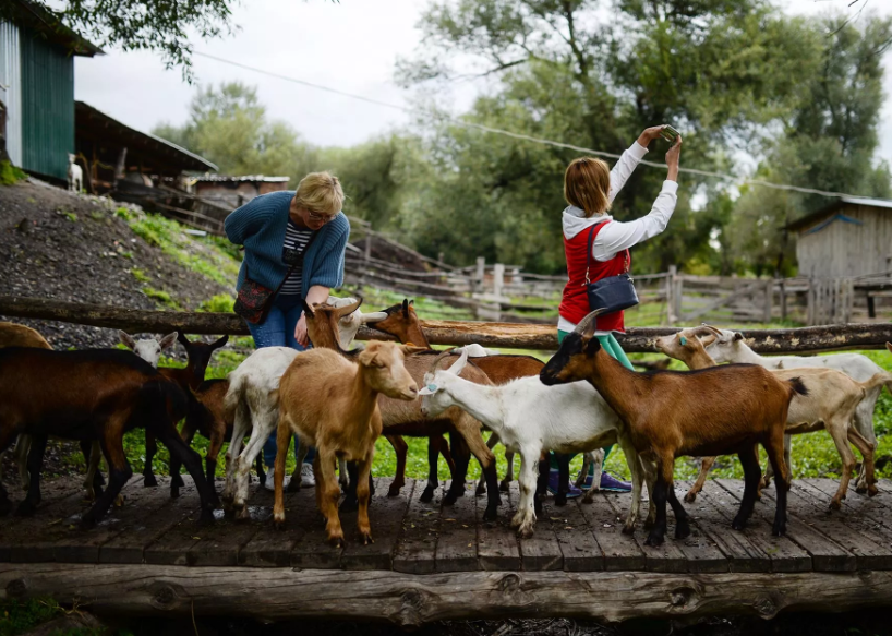 На развитие агротуризма направят 700 млн рублей в 2024 году