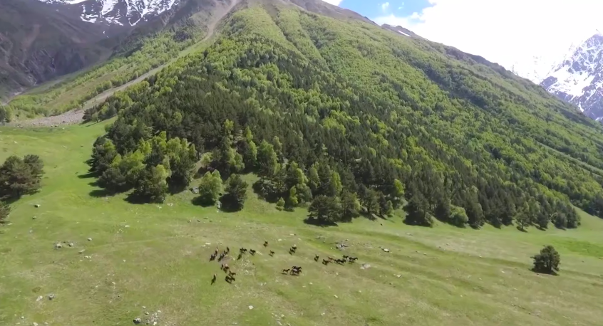 Туристический и курортный потенциал Кабардино-Балкарии на подъеме  