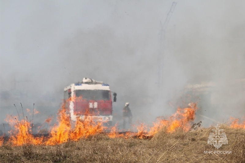 МЧС напоминает: не сжигайте сухую траву!