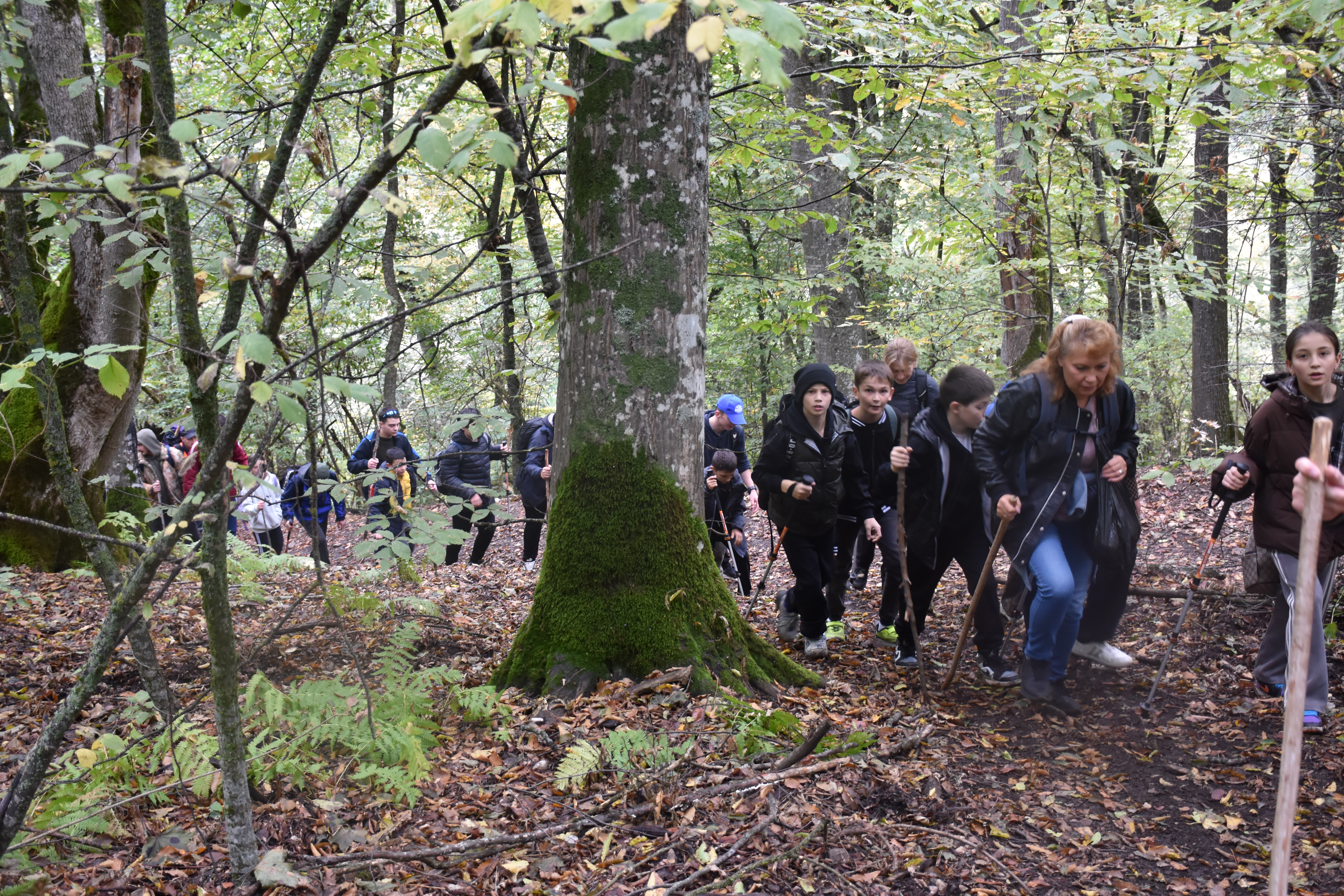 «Школа туризма и краеведения»