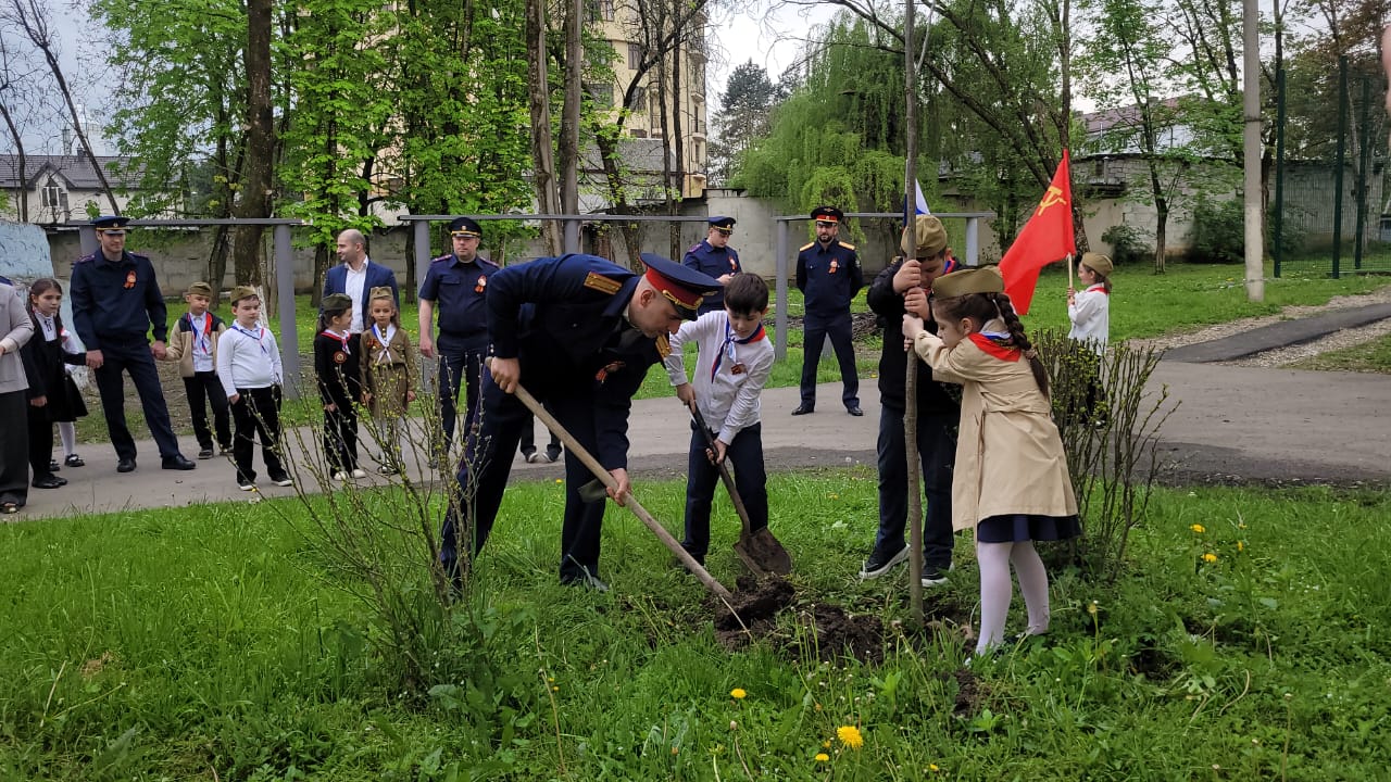 Аллея памяти