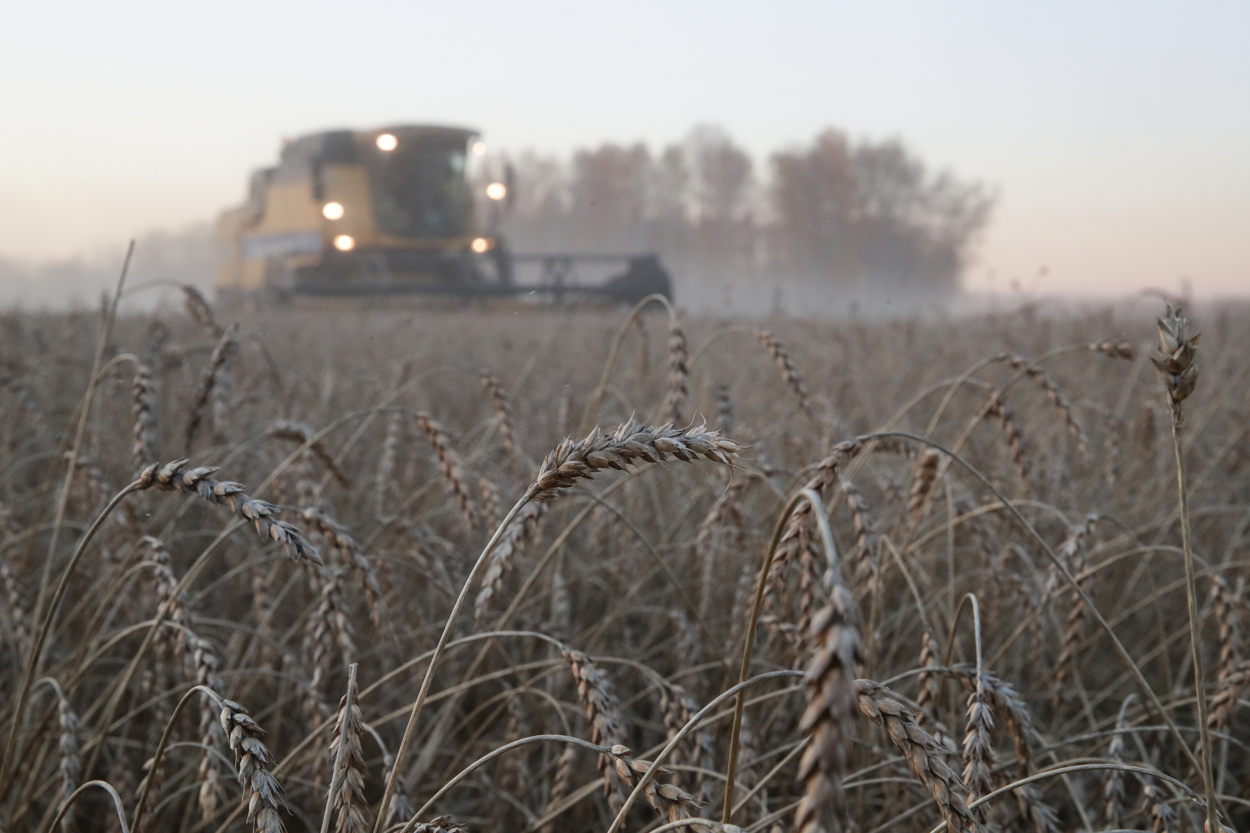 Правительство поддержит четыре сектора аграрно-промышленного комплекса