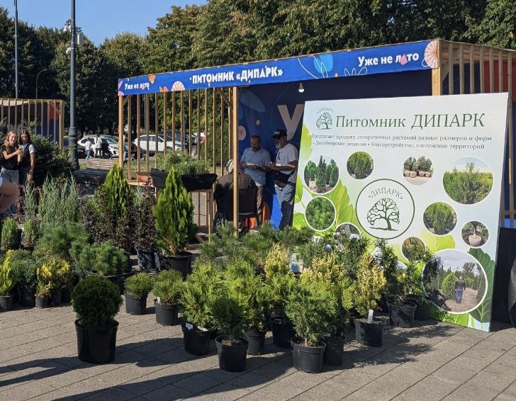 Фестиваль цветов «Уже не лето» расцвел в Нальчике