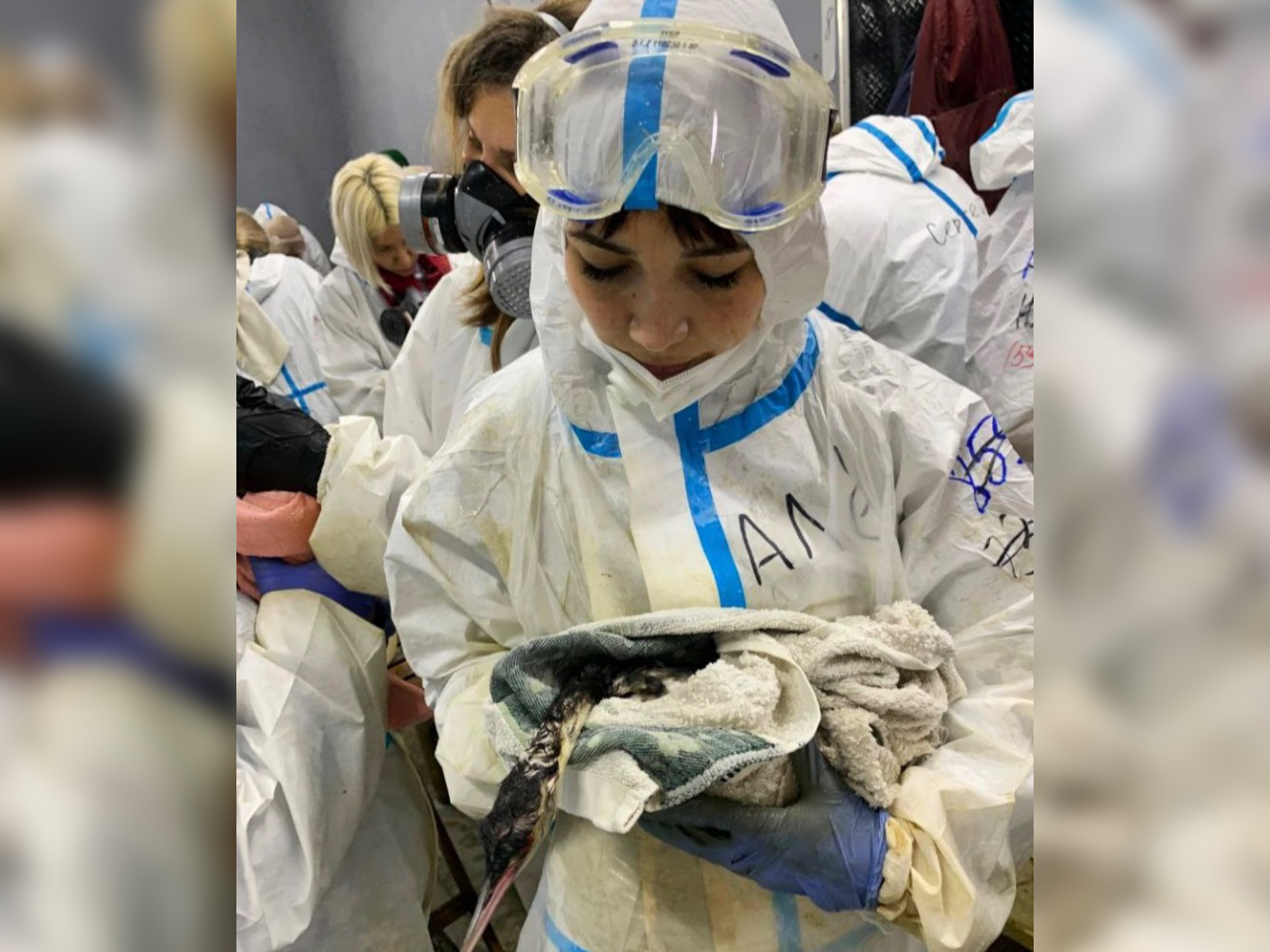 Волонтеры помогают очистить берег Анапы