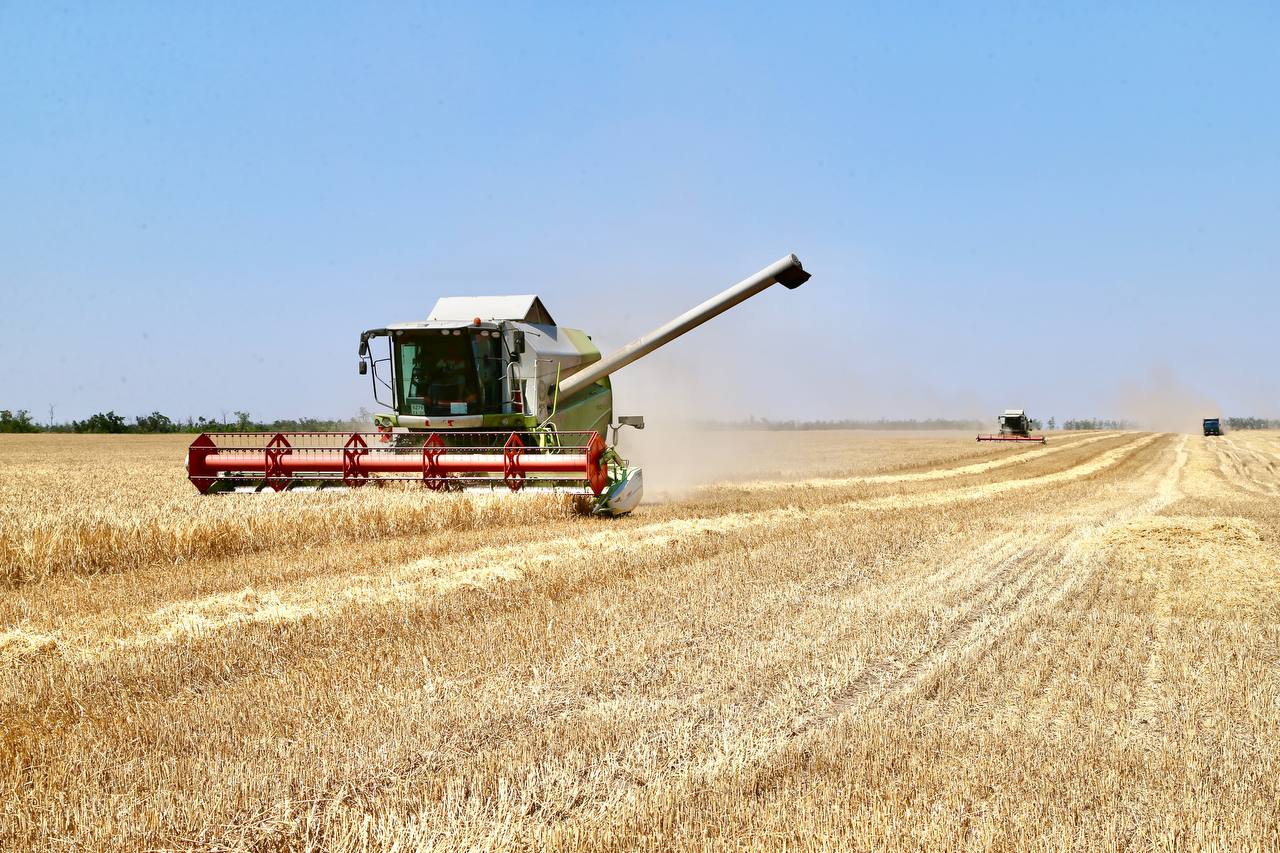 Поздравление Главы КБР Казбека Кокова с Днем работника сельского хозяйства и перерабатывающей промышленности