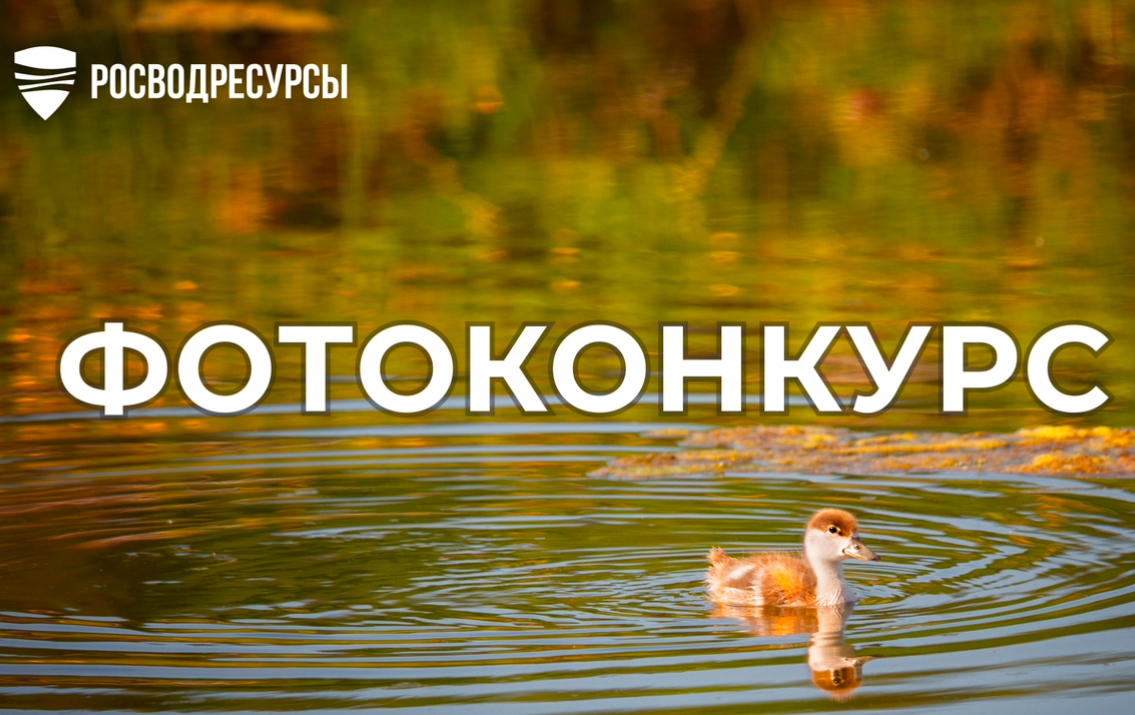 Начался прием заявок на участие во Всероссийском фотоконкурсе «Водные достояния России (лето) – 2025» 