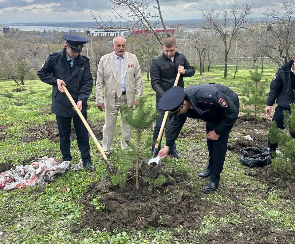 Курсанты из КБР заложили сосновую аллею на Мамаевом кургане  