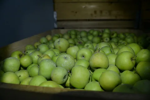 В Кабардино-Балкарии увеличились мощности плодохранилищ