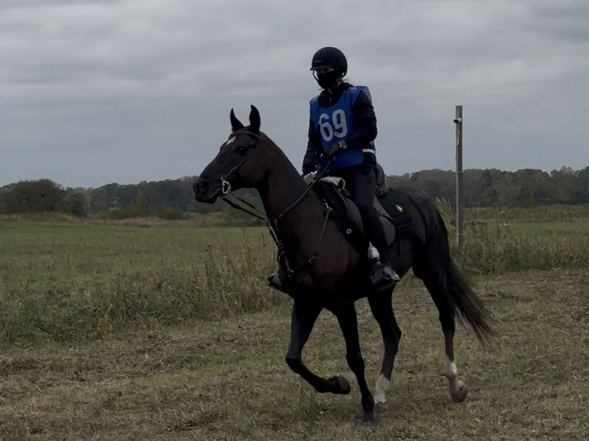 «Красный Гедуко» принимает международные старты