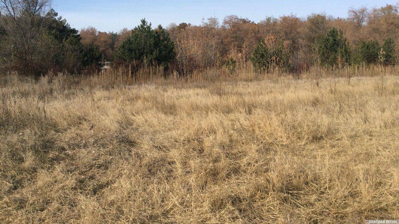 Не поджигайте сухую растительность!