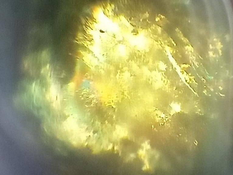 38ecbfbd-34d2-4f28-840b-606dd1a83392.jpeg 38ecbfbd-34d2-4f28-840b-606dd1a83392.jpeg