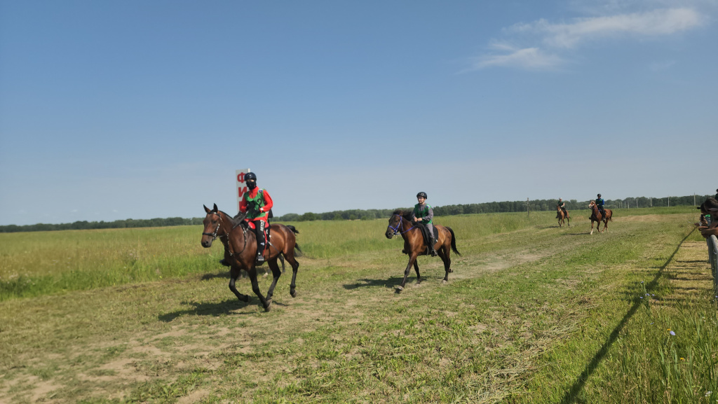 1001544093.jpeg 1001544093.jpeg