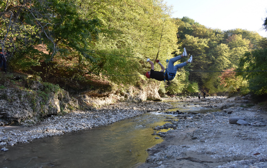 IMG_3288.jpeg IMG_3288.jpeg