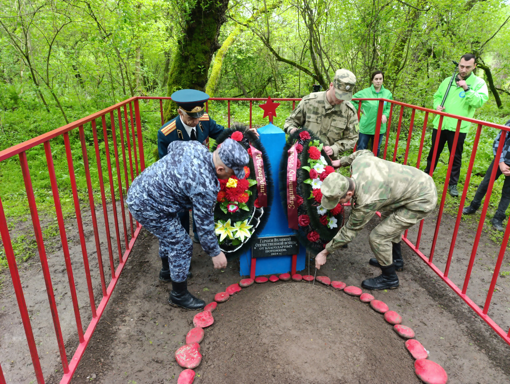 IMG_20250425_103056.jpeg IMG_20250425_103056.jpeg