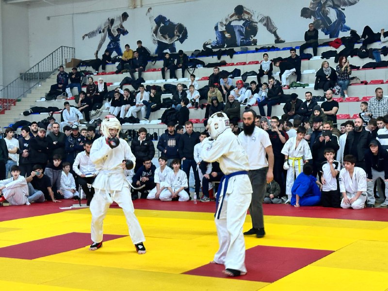 5312005145447042248.jpg 5312005145447042248.jpg