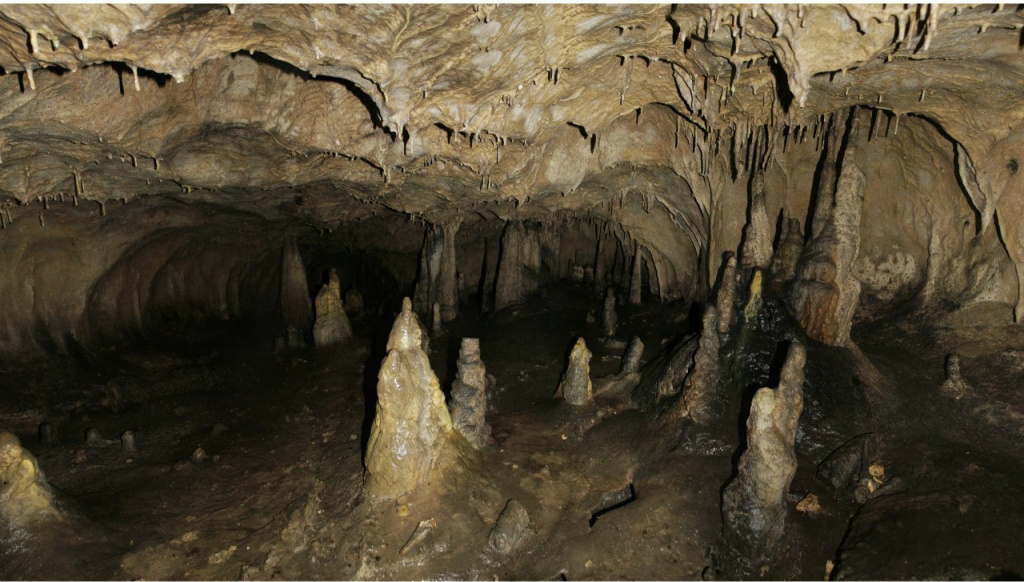 2 (11).jpg 2 (11).jpg