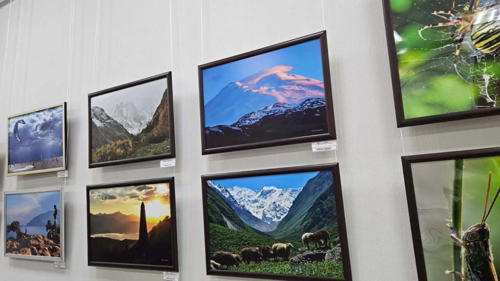 ddfc8efe-d235-4ed7-bd27-ea5a004a208d.jpeg ddfc8efe-d235-4ed7-bd27-ea5a004a208d.jpeg