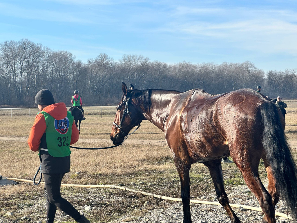 photo_5267234256029682588_w (1).jpeg photo_5267234256029682588_w (1).jpeg