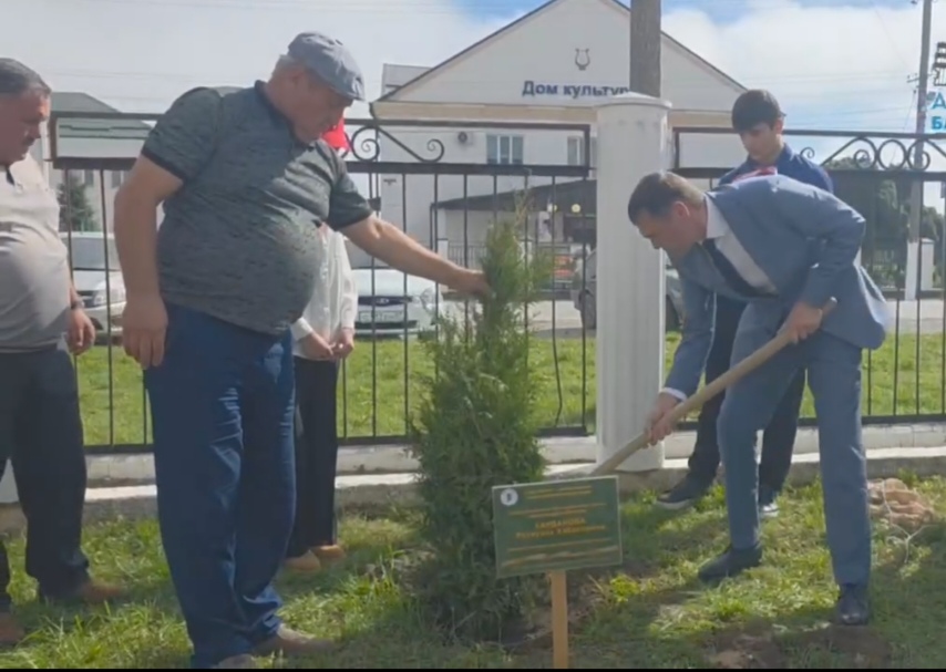 1000375321.jpg 1000375321.jpg