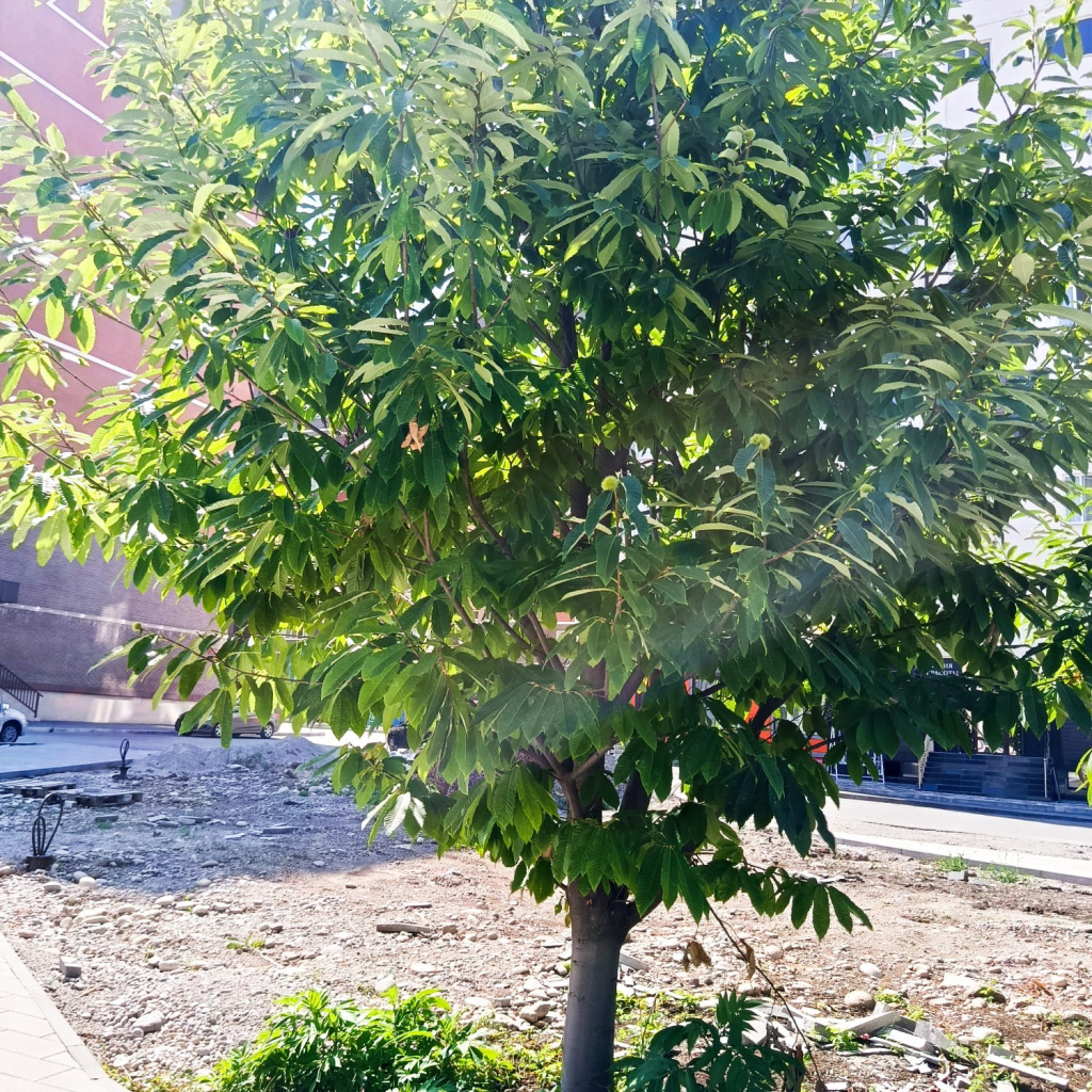 Изображение WhatsApp 2025-07-23 в 12.41.52_958aa835.jpg Изображение WhatsApp 2025-07-23 в 12.41.52_958aa835.jpg