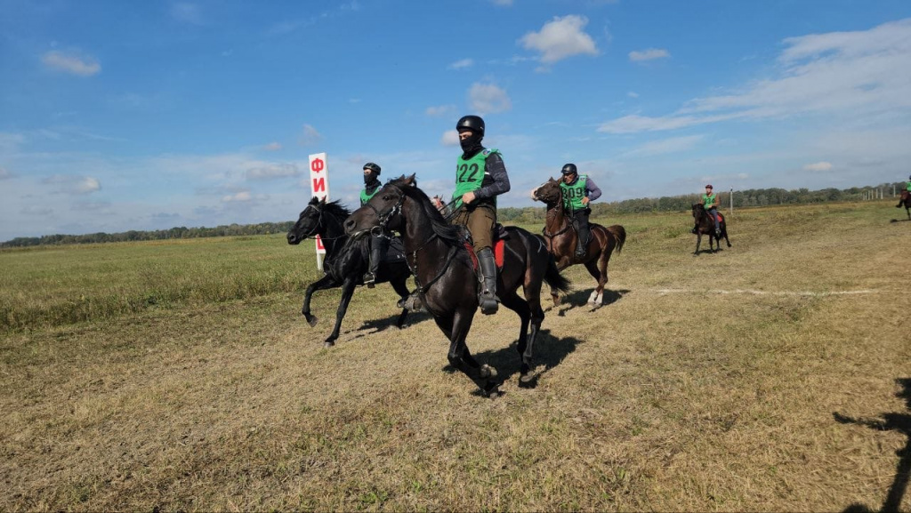 photo_5431405777437979198_y.jpg photo_5431405777437979198_y.jpg