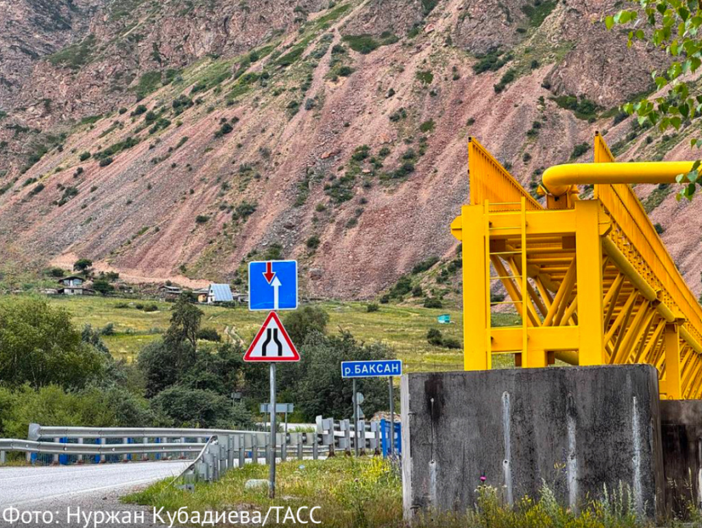 IMG_1955.jpeg IMG_1955.jpeg