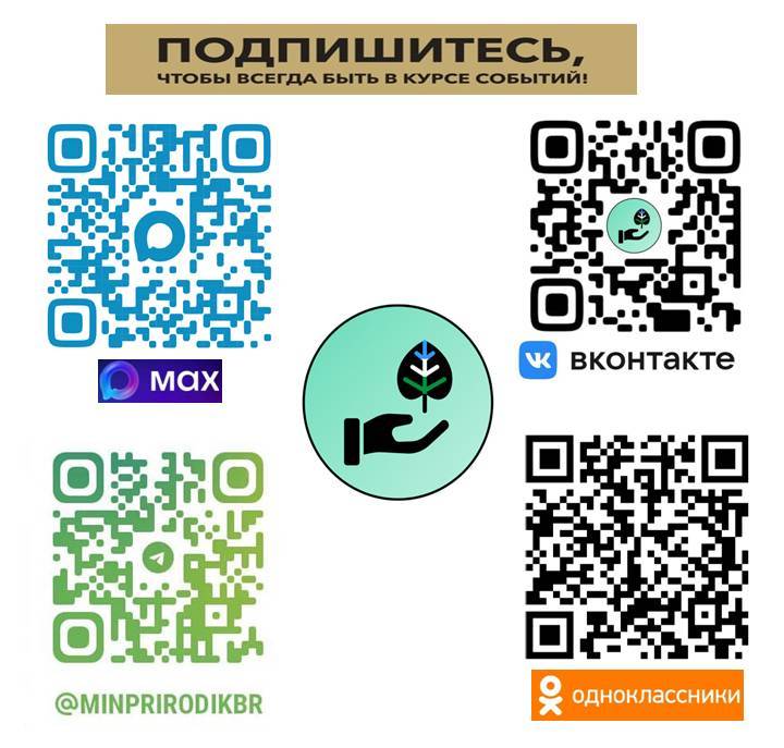 Презентация QR МИНПРИРОДЫ КБР (3).jpg Презентация QR МИНПРИРОДЫ КБР (3).jpg