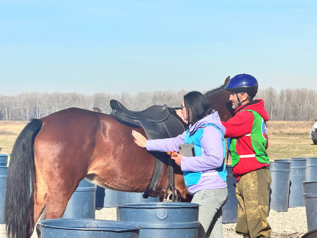 photo_5267234256029682558_w.jpeg photo_5267234256029682558_w.jpeg