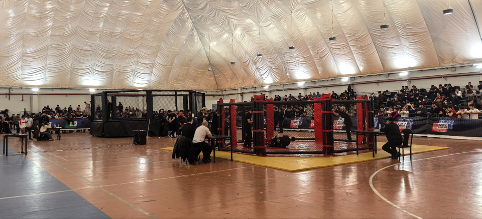 image-02-02-26-11-37.png image-02-02-26-11-37.png