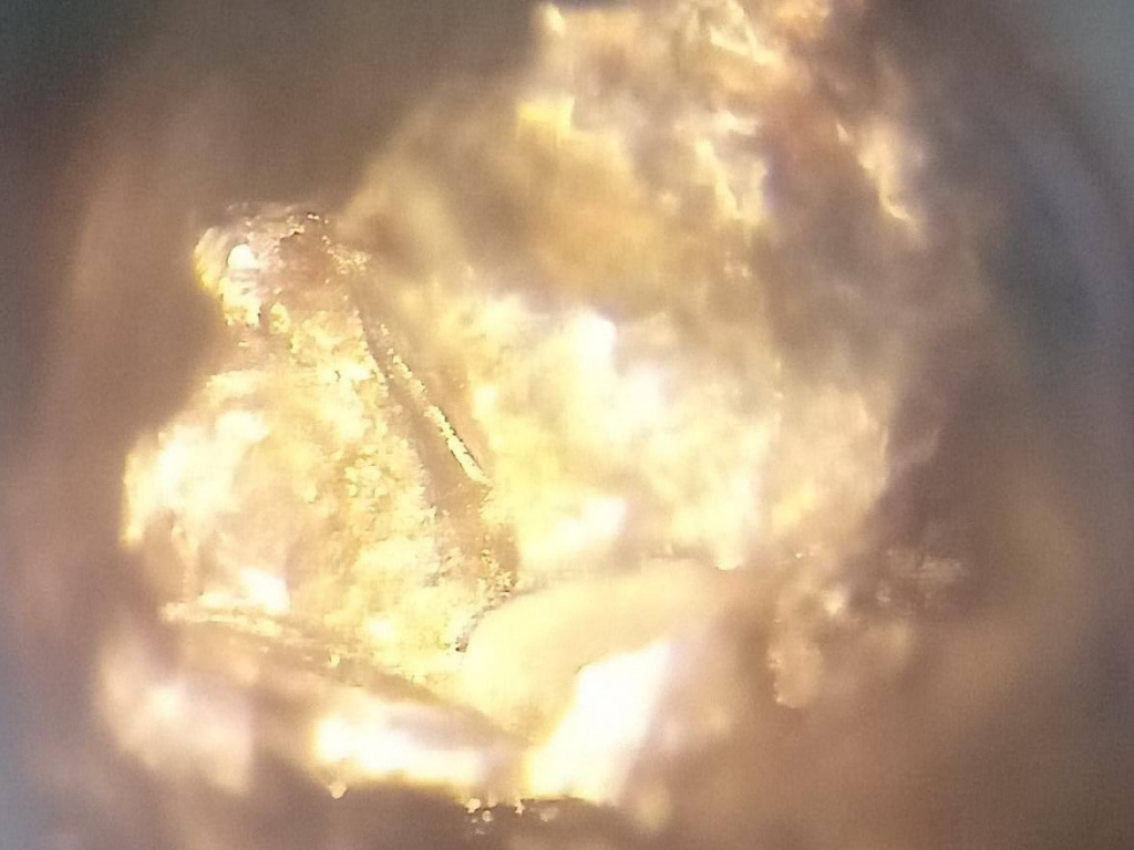 ef868ad8-734a-471e-a2d6-b7bc4a045de5.jpeg ef868ad8-734a-471e-a2d6-b7bc4a045de5.jpeg