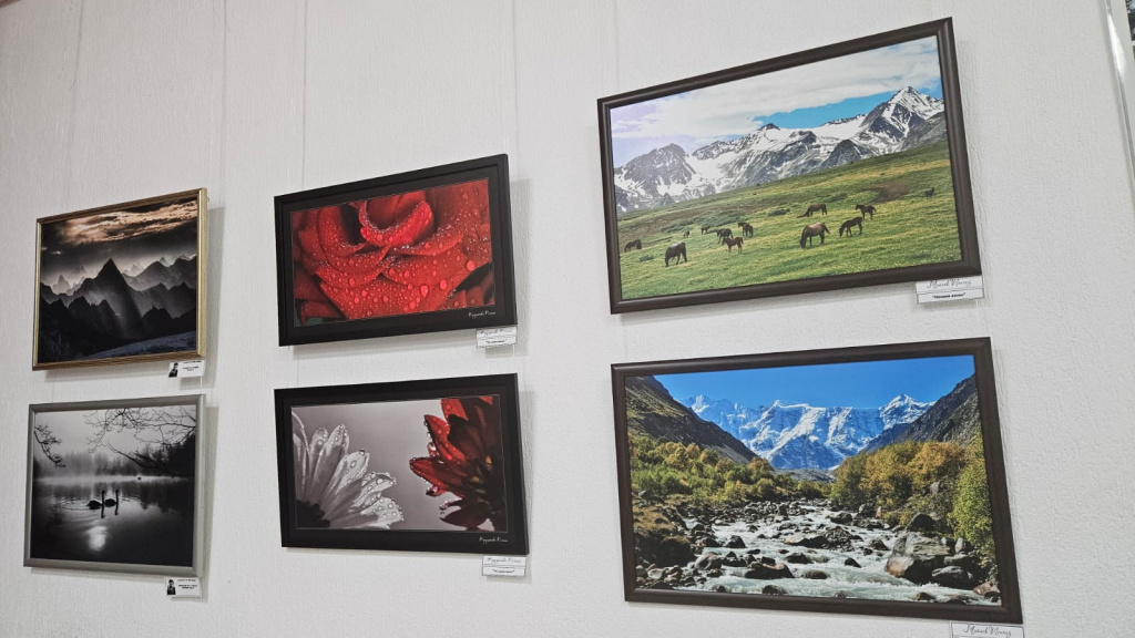 89581852-ceee-4dd1-99fe-857978b2e8d5.jpeg 89581852-ceee-4dd1-99fe-857978b2e8d5.jpeg