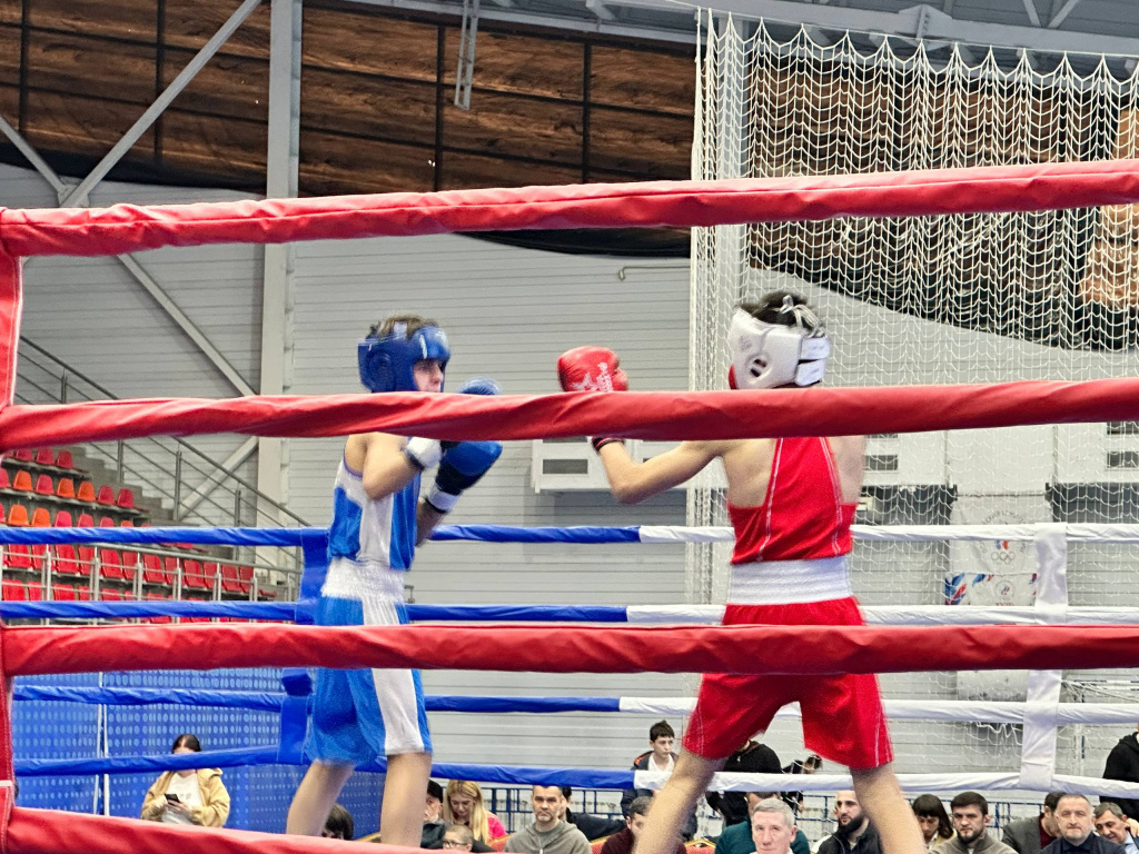 photo_5292247612985646842_w.jpeg photo_5292247612985646842_w.jpeg